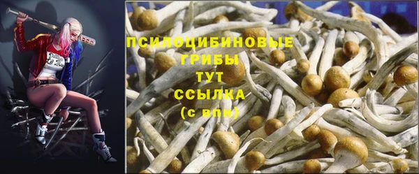 соль ск Покров