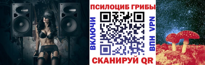 закладка Горбатов Псилоцибиновые грибы ЛСД